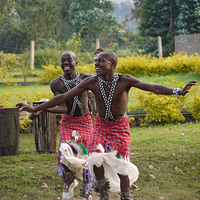 Photo de Rwanda - Parc national des volcans